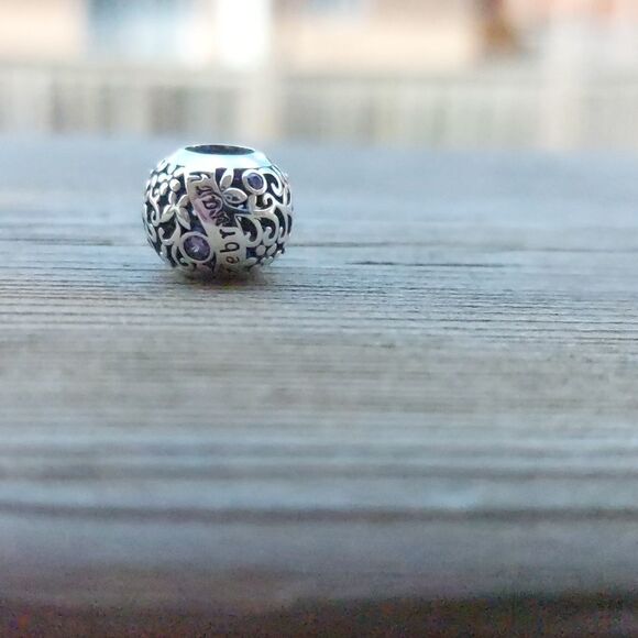 925 Silver February Birthstone Charm - Picture 3 of 4